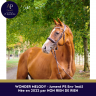Mare English Thoroughbred For sale 2022 Chesnut