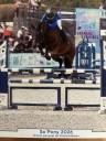 Mare French Saddle Pony For sale 2020 Bay