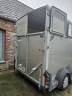 Horse trailer Ifor Williams HB511 2 Stalls 2019 Used