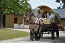 Carriage - Cal&egrave;che - Other brand -  