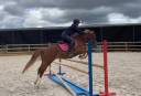 Mare French Saddle Pony For sale 2021 Chesnut