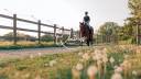 Equestrian property  Val-d'Oise