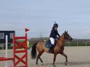 Mare Origin Recorded For sale 2018 Bay