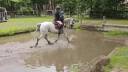 Mare Holsteiner For sale 2013 Grey