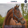 Gelding Thoroughbred For sale 2023 Bay