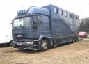 Horsebox NON-HGV Iveco  1997 Used