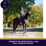 Mare Thoroughbred For sale 2019 Bay