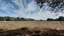 Other agricultural property  Vienne
