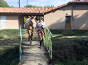 Filly PRE Pure Spanish Bred For sale 2025 Bay
