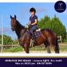 Mare AQPS For sale 2023 Bay