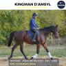 Gelding AQPS For sale 2020 Bay