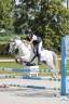 Broodmare Welsh Pony (Section B) For sale 2010 Grey