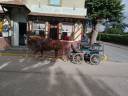 Mare Breton Heavy Draft For sale 2023 Chesnut