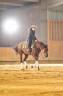Gelding Quarter For sale 2019 Chesnut