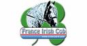 France Irish Cob | Breeding, Horse breeding > Breed societies, Horses