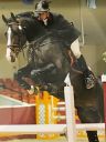 Zodjan J - KWPN Dutch Warmblood 2004 by NEGRO