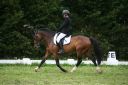 TUCSON DU RIF - New Forest 2007 by POLSBURY PINOCCIO