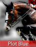 Plot Blue - KWPN Dutch Warmblood 1997 by MR BLUE