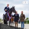 HEROE DE CAFENY - Selle Français 2017 by DIAMANT DE SEMILLY