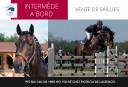 INTERMEDE A BORD - French Saddle Pony 1996 by BOLINO  RAVIGNAN  WB