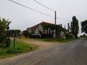 Vineyard  Loire-Atlantique