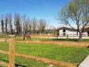 Livery yard  Vaucluse