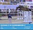 Gelding Zangersheide For sale 2020 Bay