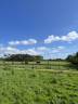 Equestrian property  Vendée