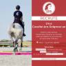Rider, Showjumping - Permanent contract Full time - Vosges France