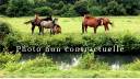 Equestrian property  