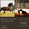 Riding school  Berne