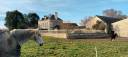 Luxurious equestrian property  Calvados