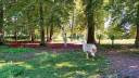 Equestrian property  Seine-et-Marne