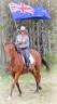 Gelding Ardennes For sale 2021 Light chestnut