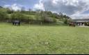 Equestrian property  Yonne