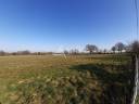 Sheep farm  Deux-Sèvres