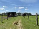 Equestrian property  Ain