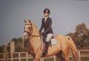 Gelding English Thoroughbred For sale 2012 Palomino