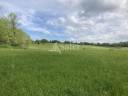Sheep farm  Jura