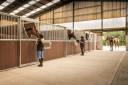 Monarch Equestrian Ltd - Top-Quality Equestrian Equipme