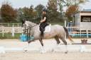 Mare Lusitano For sale 2020 Grey
