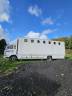 Horsebox NON-HGV Renault Midliner150 1998 Used