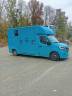 Horse trailer Renault EQUITA 2 Stalls 2023 Used