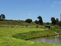 Stud farm  Ile-et-Vilaine