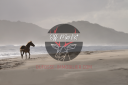 Equestrian property  Calvados