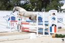 MYSTERY PONDI EDB - French Saddle Pony 2022 by Pixies Leam Pondi