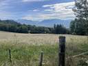 Equestrian property  Ain