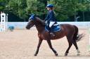 Mare British Riding Pony For sale 2012 Chesnut