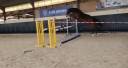 Gelding Selle Français For sale 2022 Dark Bay