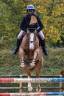 Mare Selle Français For sale 2017 Chesnut